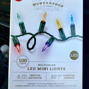Wondershop Multicolor Led Mini Lights